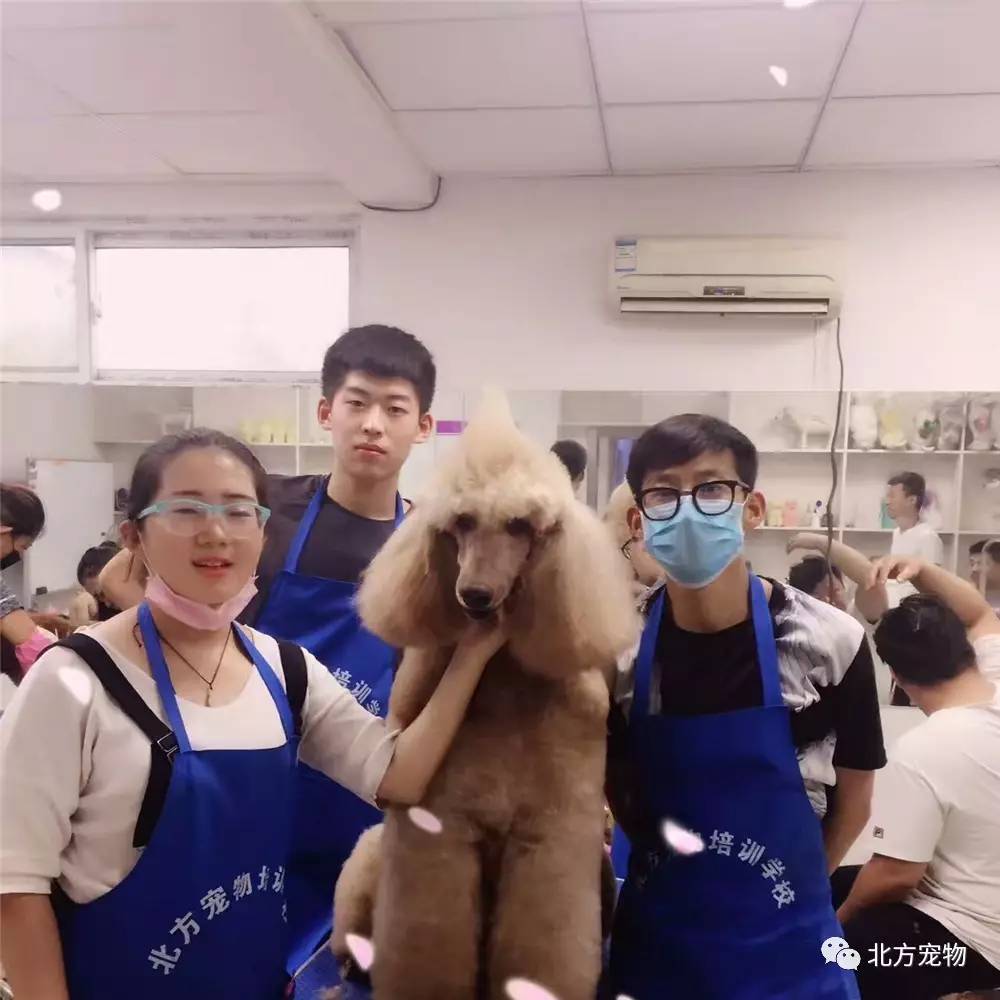 女忍 破碎公主在线观看