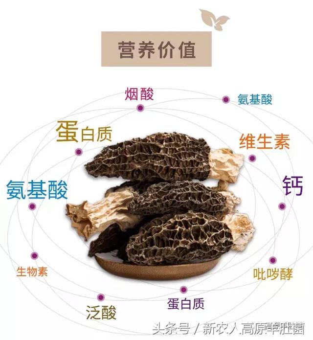 第1页_无限臀山 ...チ尻美少女.