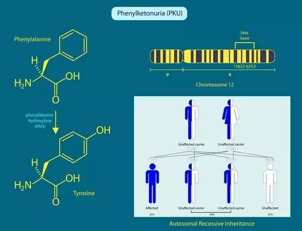 丝丝不是思思 不思欢迎提供更多信息