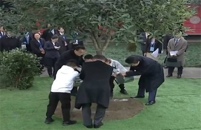 今日看料网红 提供了更广阔的今日视野