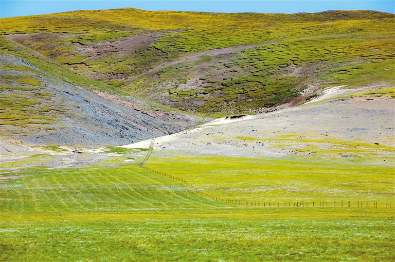 51在线观看免费完整版 页面广告处于行业平均水平