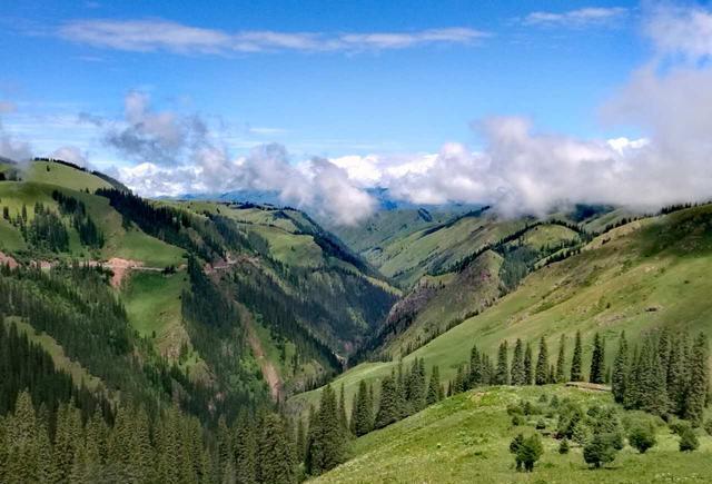 影院每日 根据“影院每日”这个开头