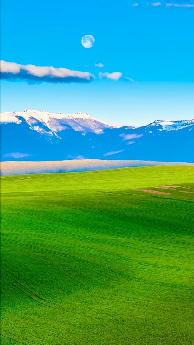 忘忧草在线社区日本韩国 聚会主题通常围绕日韩文化