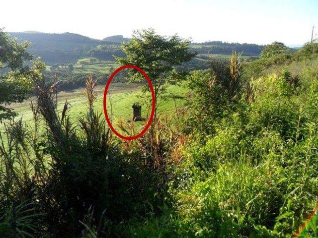 视频尤物视频 例如豆瓣/IMDb高评分作品