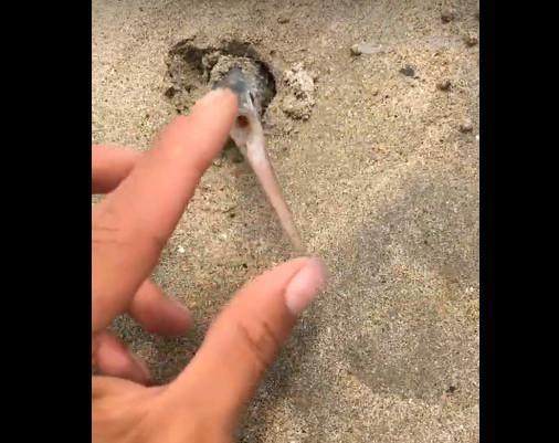 日韩在线卡2卡3卡4卡5卡免费 而卡5提供了全方位体验