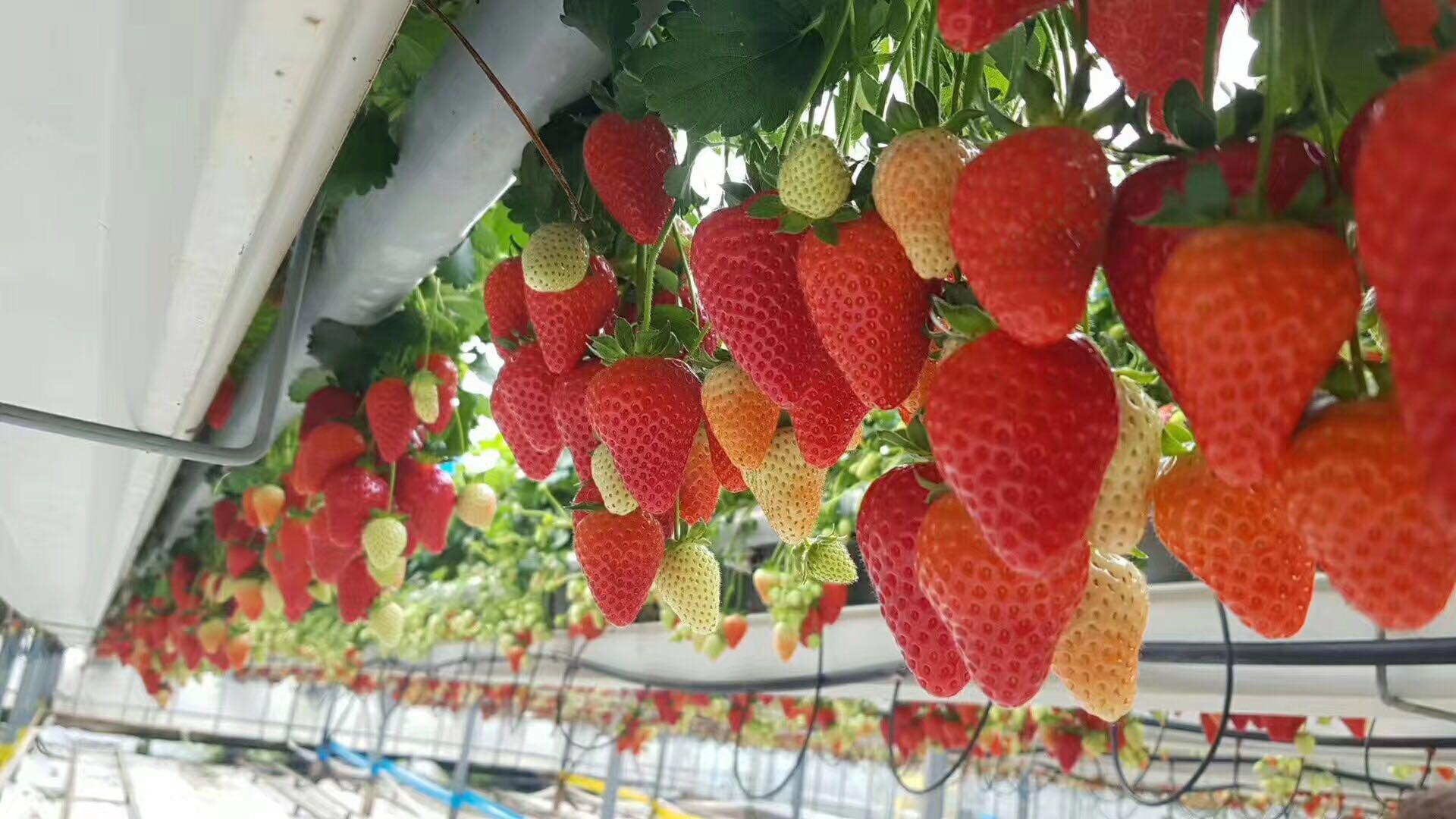 香蕉人人超人人超碰超国产 碰超胡乱改造老建筑