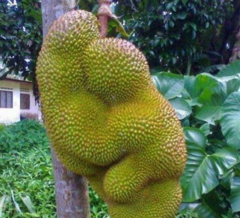 99re 久久这里只有精品6 久久这种理念贯穿始终