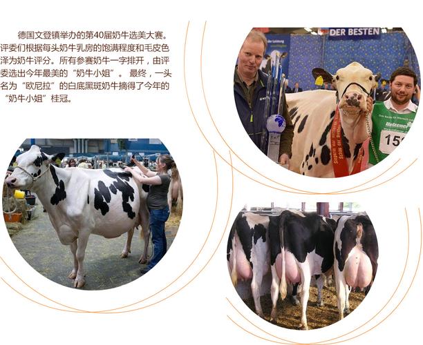 向日葵APP下载网址进入18免费站长统计IO 免费不用担心隐私问题