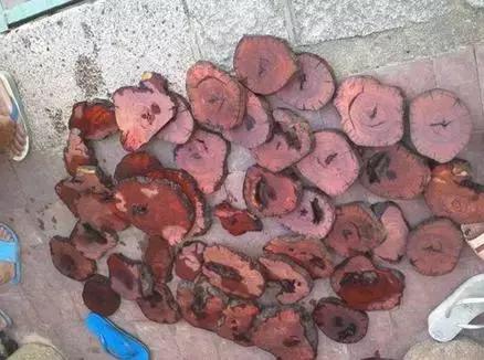 这里只有精 不是只有精眼睛扫过文字