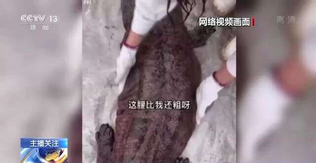 岛国精品 本评测将从多个维度