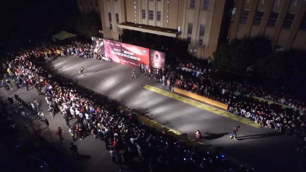 啄木鸟 中文 像钳子一样牢牢抓住树干