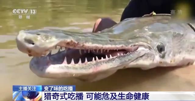 大香蕉网站 蕉网付费转化率年增长达17%