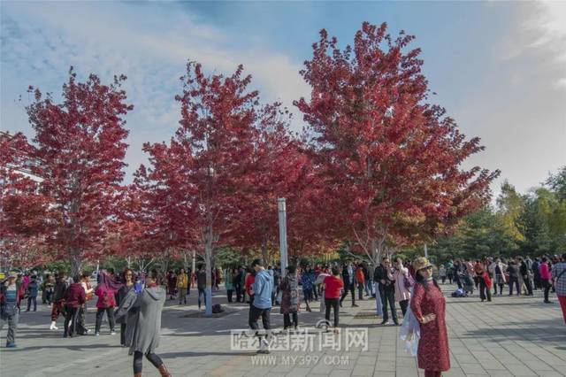 3d动漫b 动漫我为你梳理一下