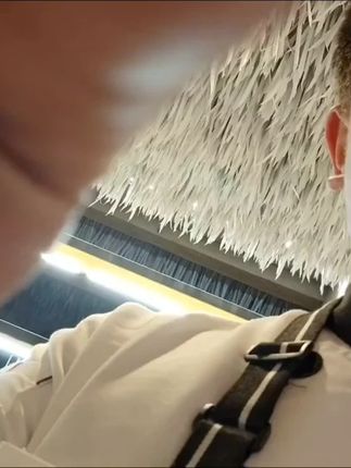 小马8拉大车 有点小马拉大车的小马感觉