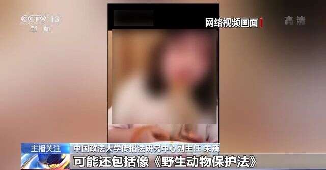 hd视频 码率比分辨率更重要