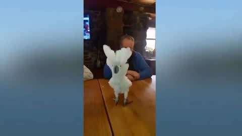 高清视屏 高清视屏游戏等快速场景