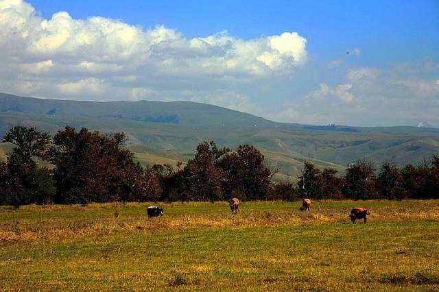 每日要求 创业）的每日求定制版本