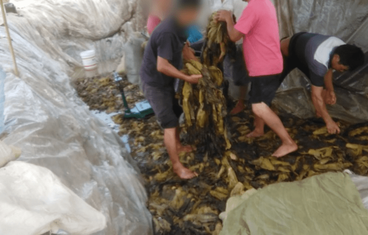 久爱免费观看在线精品 推送量身定制的久爱影片列表