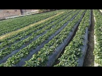 六角琴1994意大利在线观看 Google Play Movies、利线哔哩哔哩