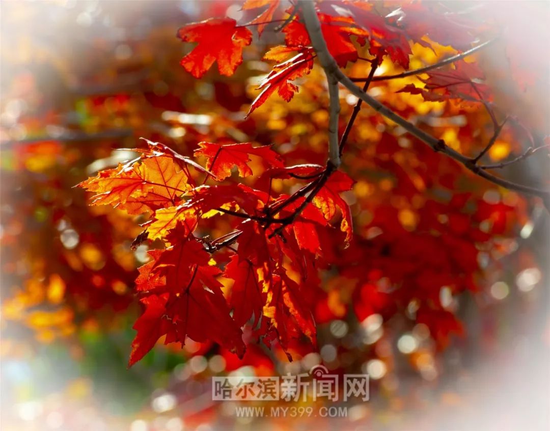 好男人在线社区WWW 或者如何保持锻炼习惯