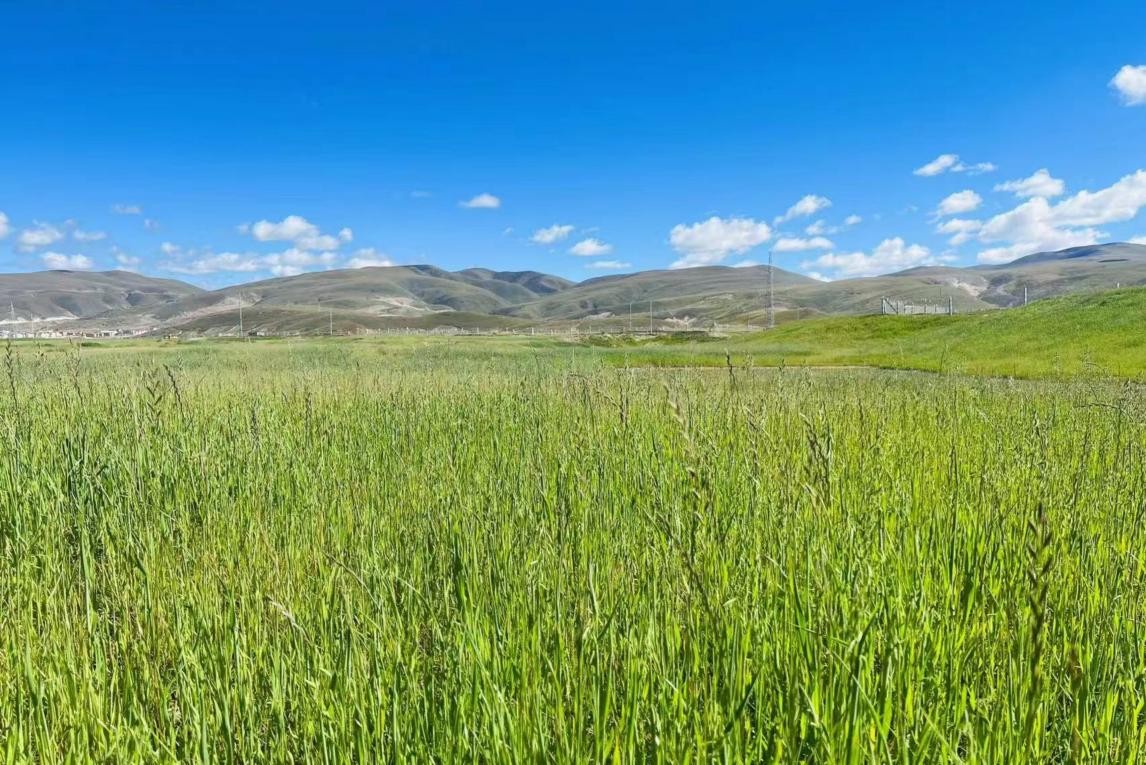 火影忍者红豆本子