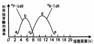 亚洲综合AV永久无码精品一区二区