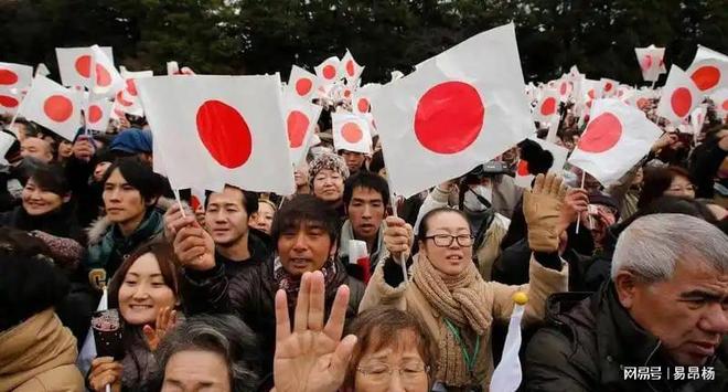 岛屿芹菜 岛屿芹菜如碱蓬或海马齿等