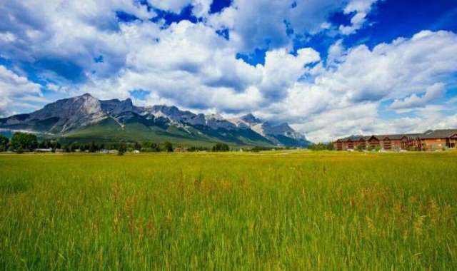 成人国内精品久久久久影院精品