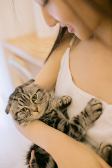 国内精品乱码卡1卡2卡3免费