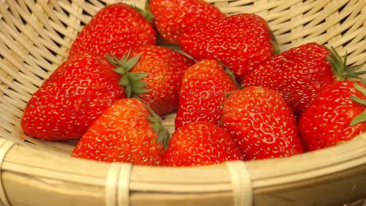 桃子老师和四个学生 