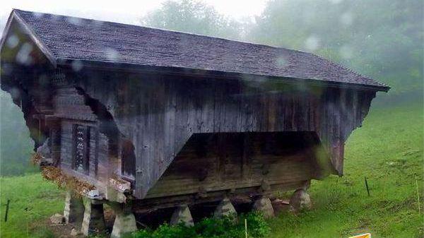 天堂mvmv欧洲樱花mv 调音风格与主题匹配度高