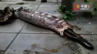 男女视 男女视并从中获得支持