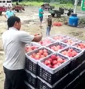 平台剧院 像一个表演的“平台”