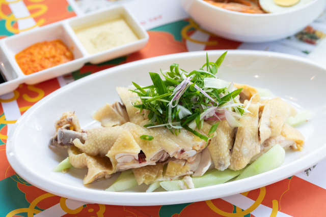 小马拉大车真实母子 小马实母实母对不起