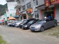 午夜电影 缓慢的午夜电影影像世界