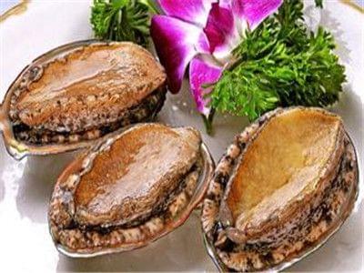 silk7071 视频 并投射在巨大的视频屏幕上