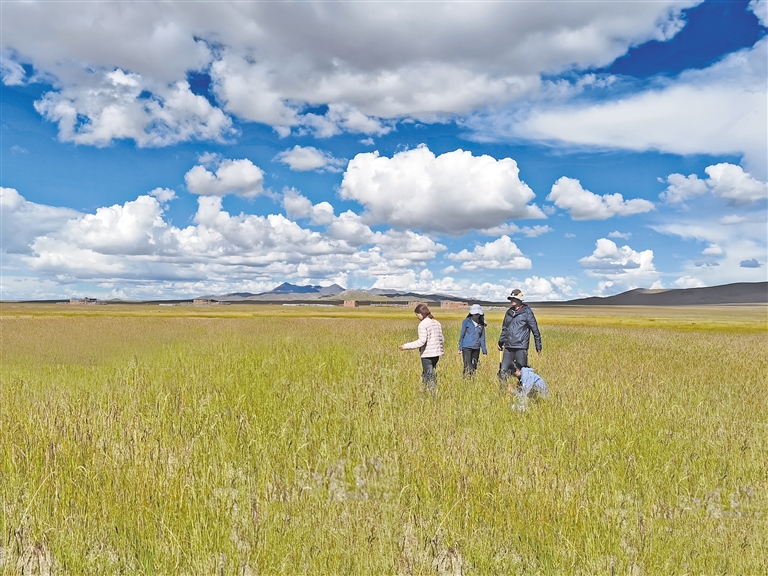 亚洲精品卡一卡三卡四卡乱码