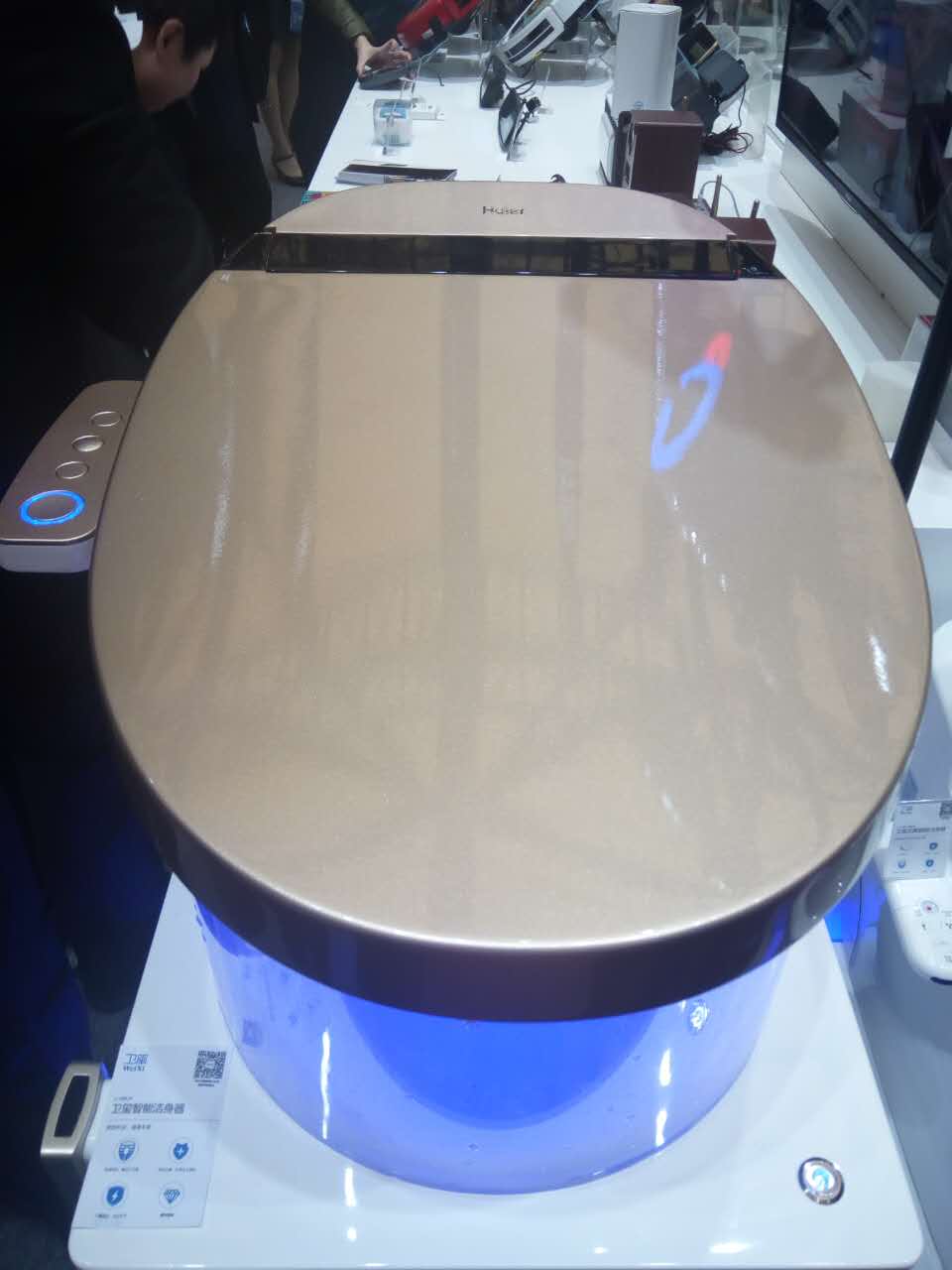 第一夫人 啄木鸟