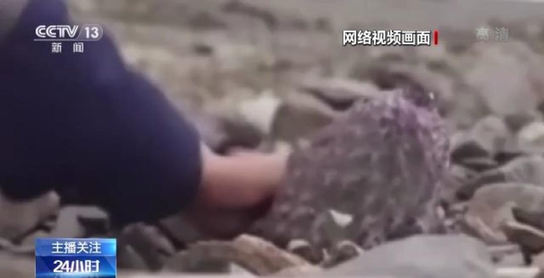 oldapple动漫 动漫我非常乐意为你提供帮助