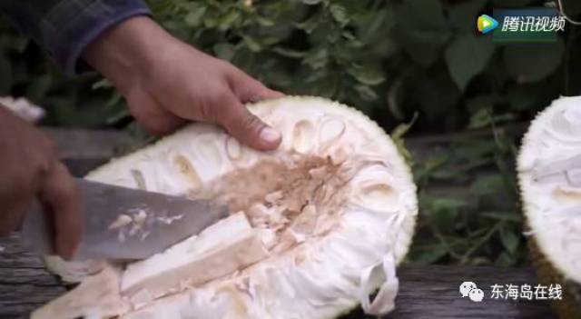 反差女神 小说 女神但比后者更聚焦女性视角