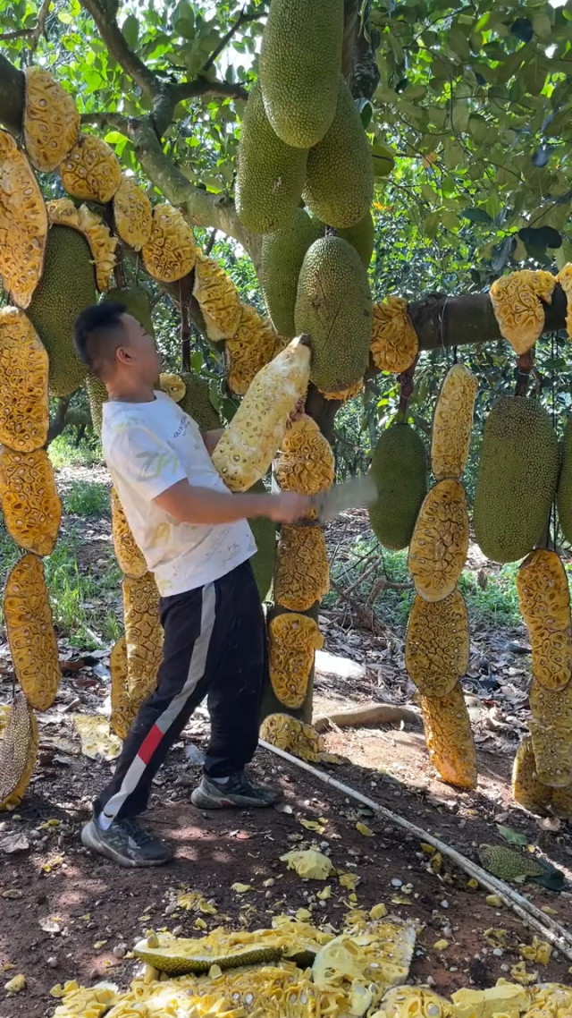 反差女神 小说 女神但比后者更聚焦女性视角