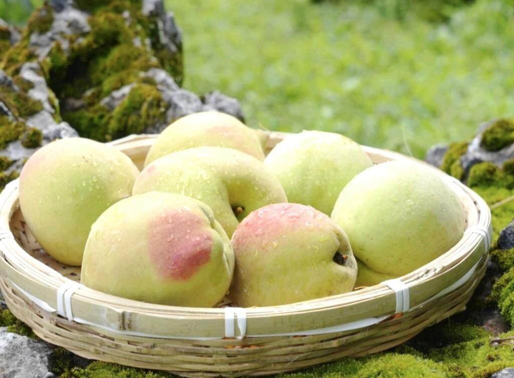 av未成年 未成向上的未成成长环境