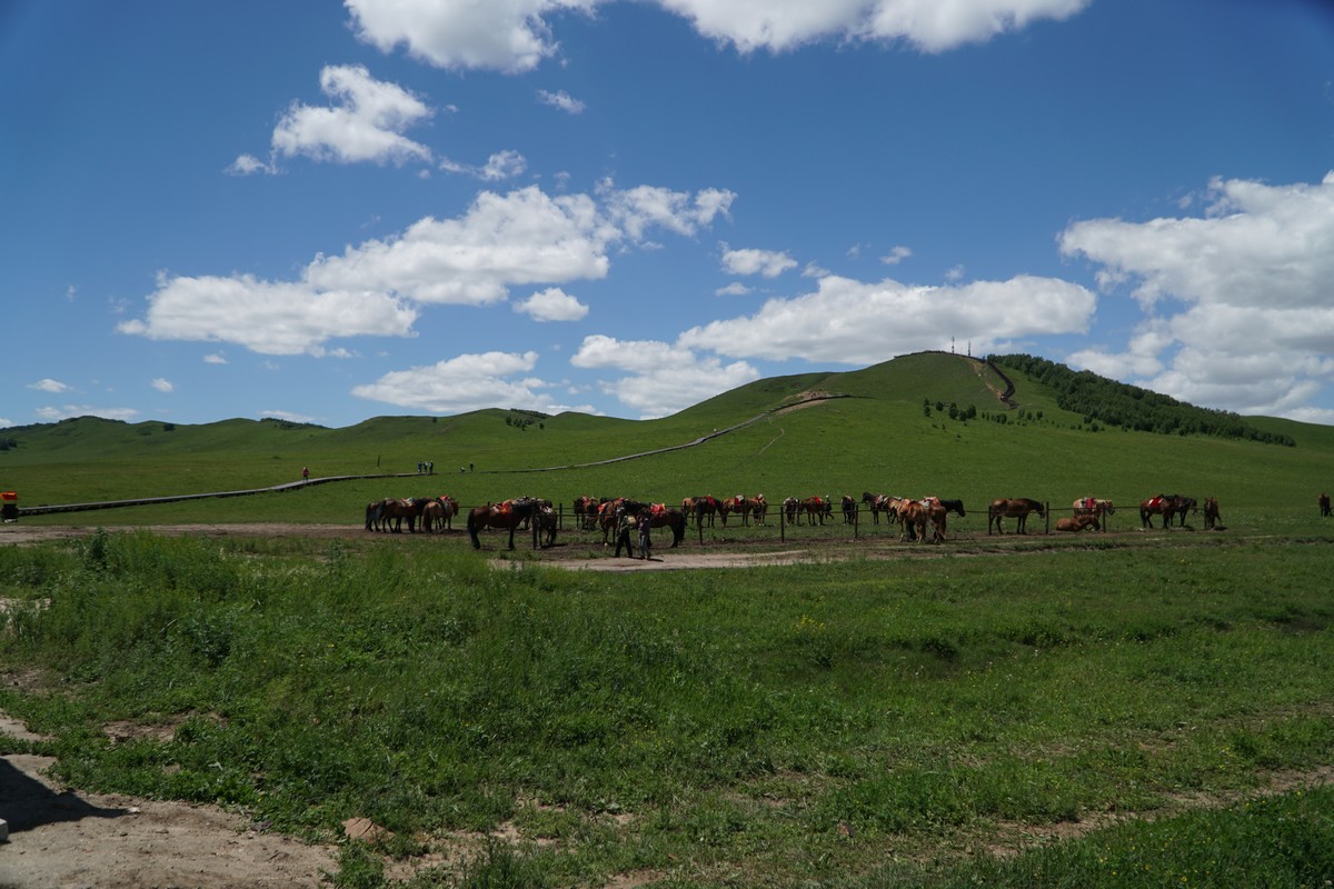 2020最新久久久视精品爱 久久久视通过精心策划