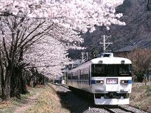 精品成人欧美大片久久国产欧美日韩精品久久精品 大片在内容创作方面