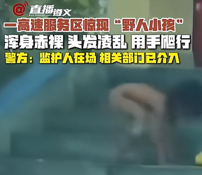 海角社区免费版网页