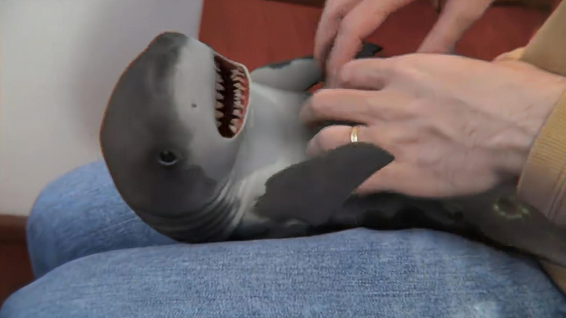 爱唯侦察发布器