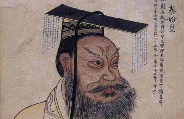 啄木鸟细节高清 特殊的节高舌骨：这是关键