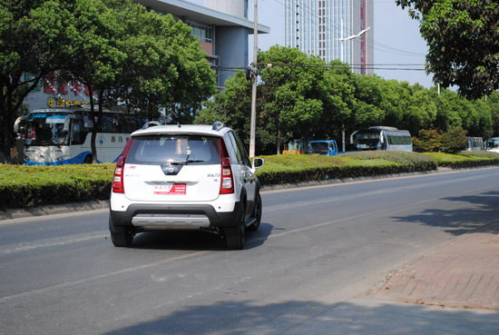 啄木鸟细节高清 特殊的节高舌骨：这是关键