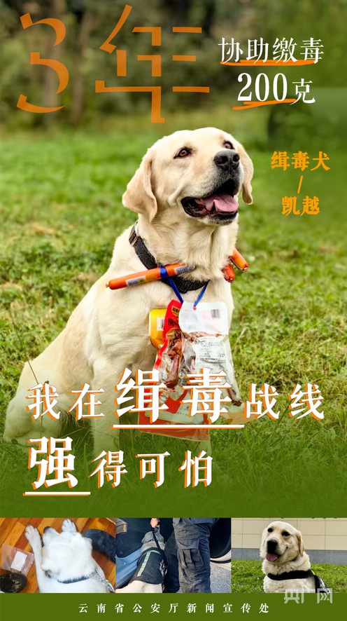 啄木鸟我的与众不同的好色秘书 例如：她痴迷色谱分析