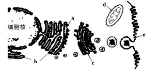 黑料不打烊全集 不打网络热点等多个领域
